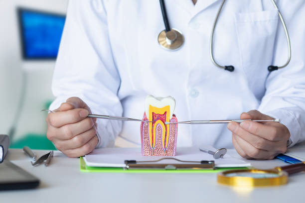 Best Emergency Dentist for Knocked-Out Tooth in Virginia, IL